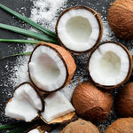 Coconut Fragrance Oil