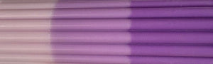 Iris Dye Bar