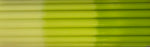Neon Lime Dye Bar