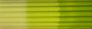 Neon Lime Dye Bar