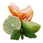 Lime Basil Mandarin Fragrance Oil