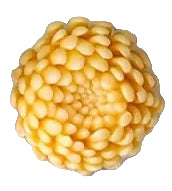 Chrysanthemum Small Mould