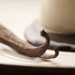 Vanilla Bean Fragrance Oil