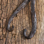 Vanilla & Sandalwood Fragrance Oil