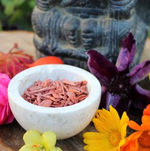 LCS Exotic Indian Sandalwood Fragrance Oil