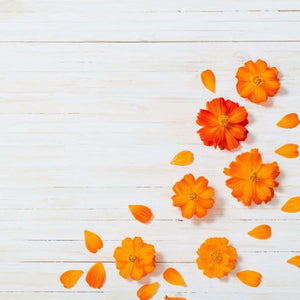 Orange Petal Marshmallow Fragrance Oil