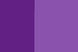 Liquid Dye - Purple 10gm